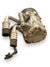 Compressore Aria Condizionata Clima Fiat Seicento 1.1b (2003) cod.SD7B10 - F&P CRASH SRLS - Ricambi Usati