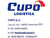 Interruttore luci Volkswagen Polo cod: 6Q0941531C - F&P CRASH SRLS - Ricambi Usati