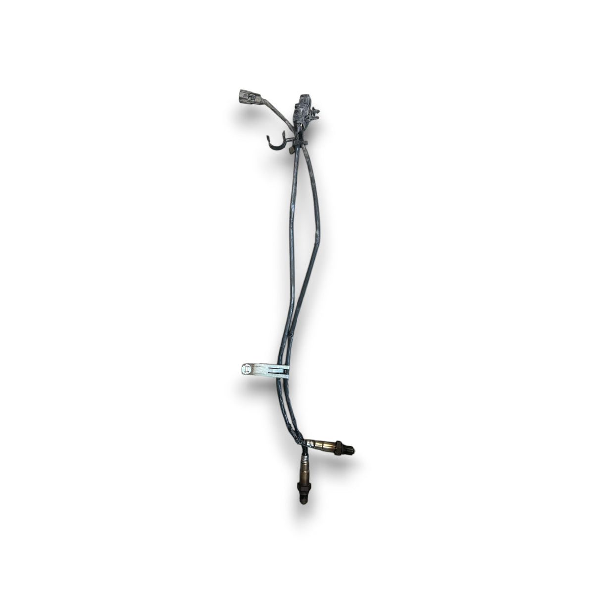 Sonde Lambda Ford B - Max cod.BV6A - 9Y460 - AA cod.CV6A - 9G444 - AA 1.0 Benzina (2012 &gt; 2018) - F&amp;P CRASH SRLS - Ricambi Usati